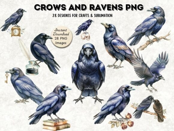 Evaluating the Crows and Ravens Gothic PNG Bundle for Dark Aesthetic Design Projects
