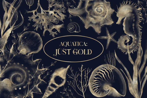 Underwater Gold Elements Seashells PNG
